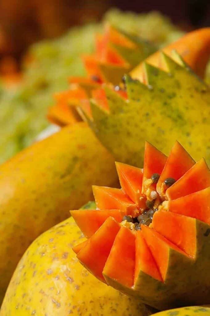 benefits of the papaya