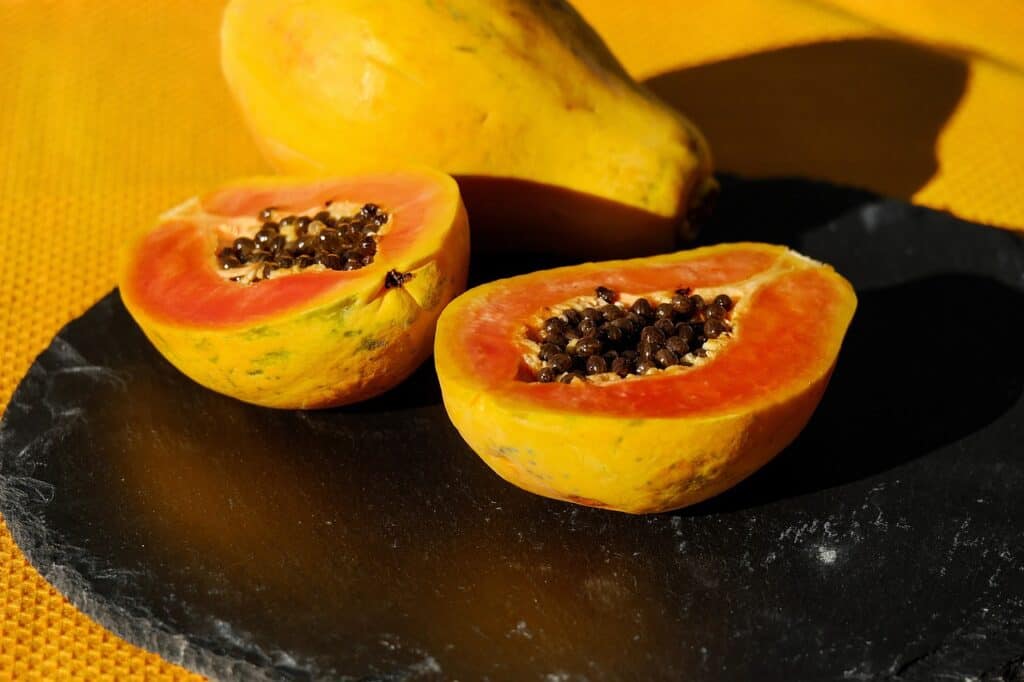 benefits of the Papaya
